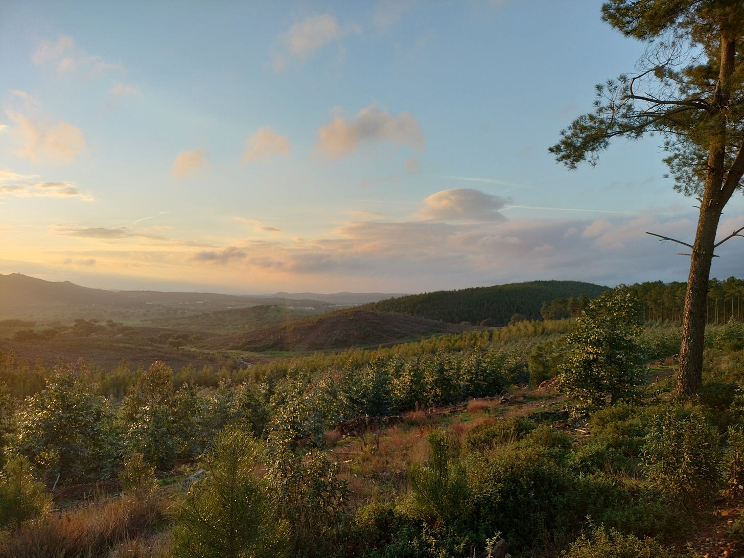 A view of the rolling hills of the Alto Alentejo in Portugal