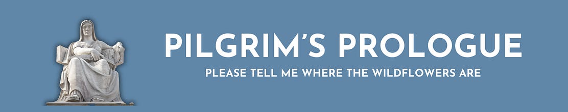 Pilgrim's Prologue