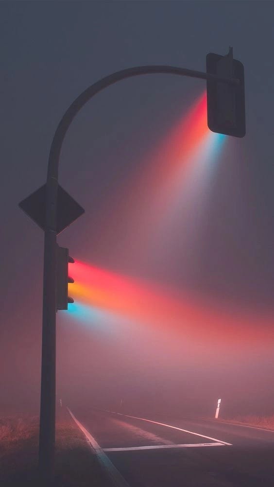 An image uploaded by trizz on Nov 01, 2025.