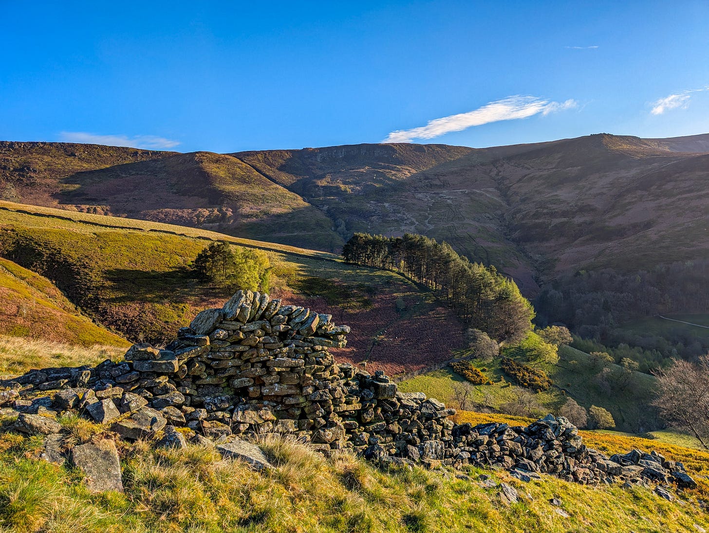 Early morning on Kinder Scout with a blue sky background and ruins of a drystone wall in the foreground