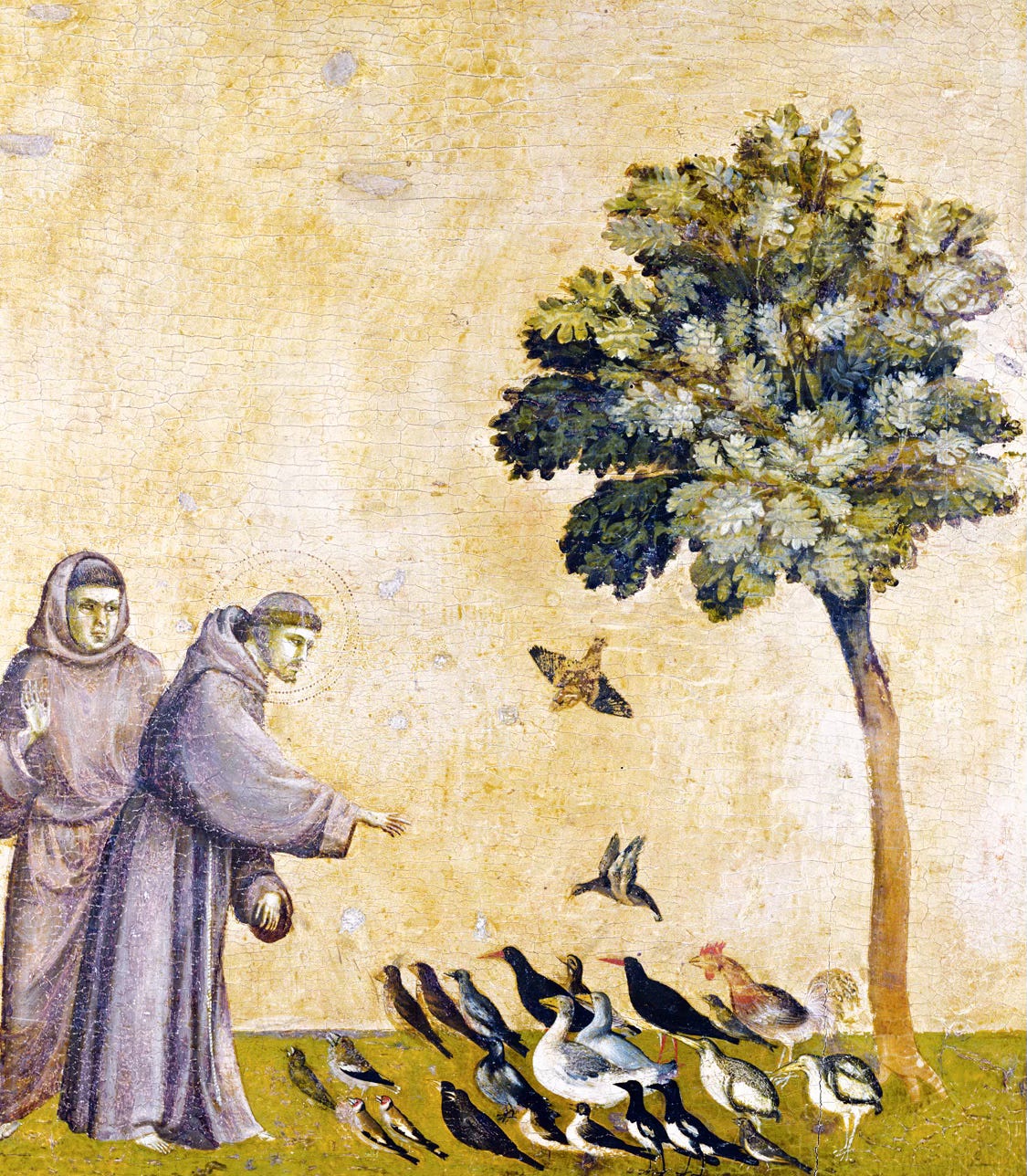 St. Francis preaching to the birds, from St. Francis Receiving the Stigmata, by Giotto di Bondone, c. 1295–1300. Louvre Museum, Paris, France. St. Francis preaching to the birds, from St. Francis Receiving the Stigmata, by Giotto di Bondone, c. 1295–1300. Louvre Museum, Paris, France.