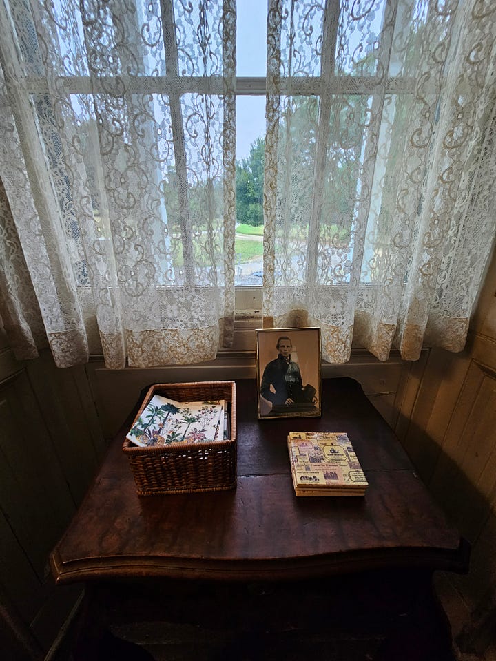A window with a picture and a close up of scratching.