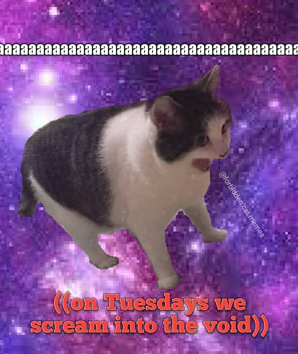 A meme of a cat screaming into the void