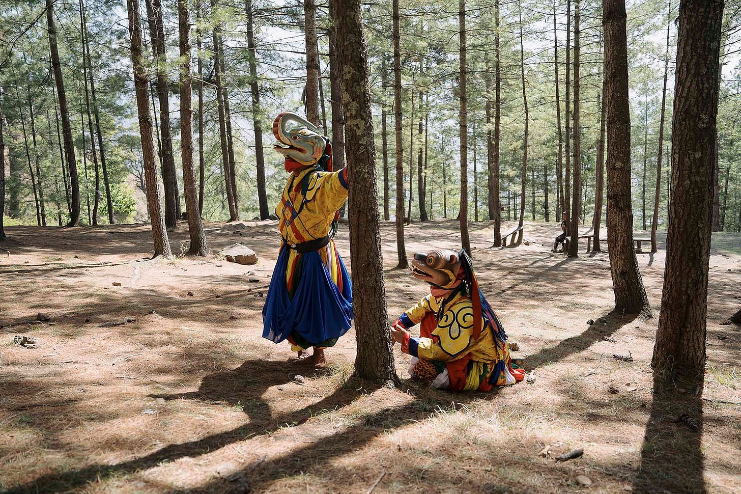 Image courtesy: Bhutan Mushroom Tours