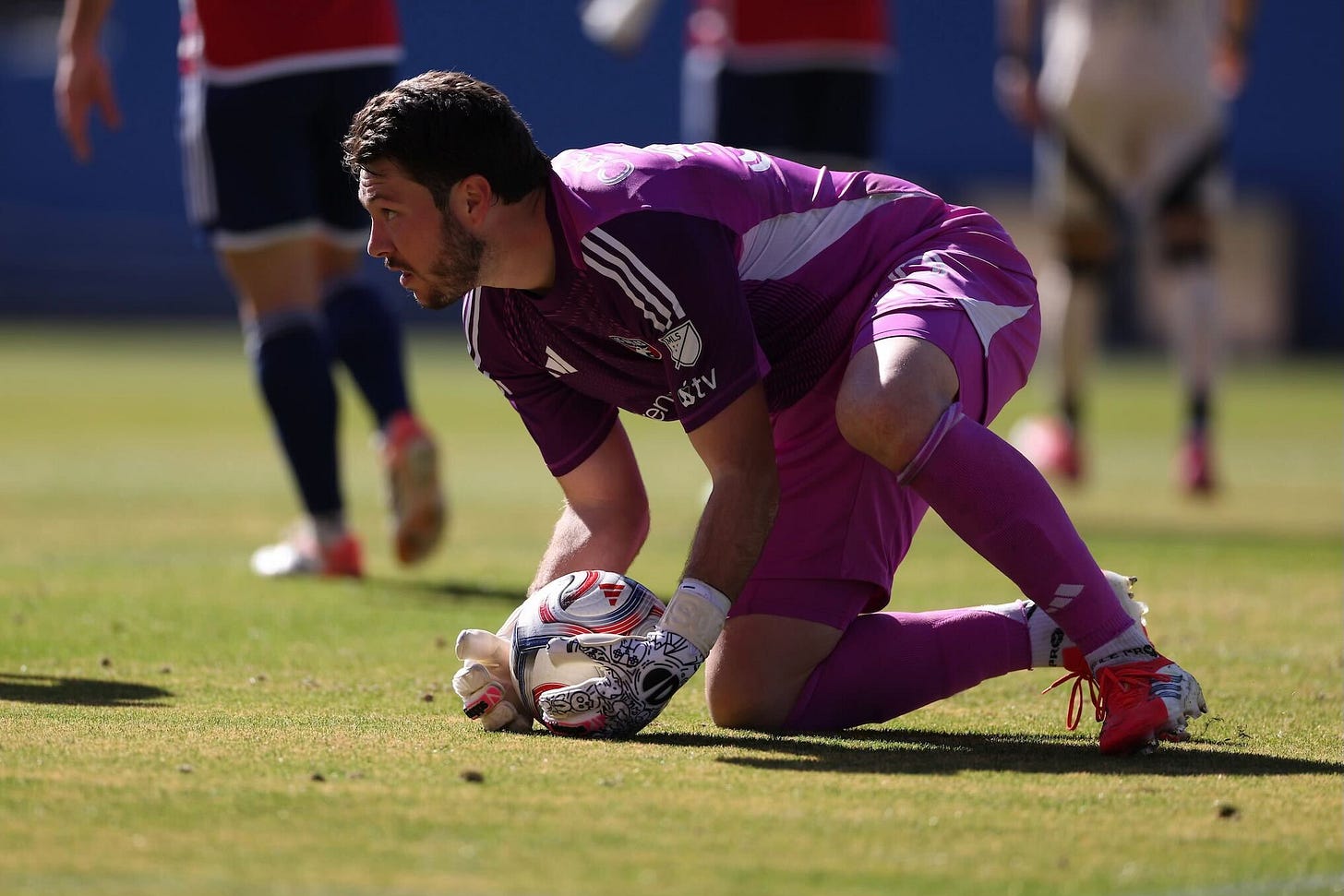 Michael Collodi, in a purple goalkeeper kit, saves a shot during FC Dallas preseason win against the Red Bulls. Michael Collodi, in a purple goalkeeper kit, saves a shot during FC Dallas preseason win against the Red Bulls.
