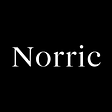 Norric AI's avatar
