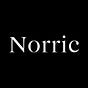Norric AI's avatar