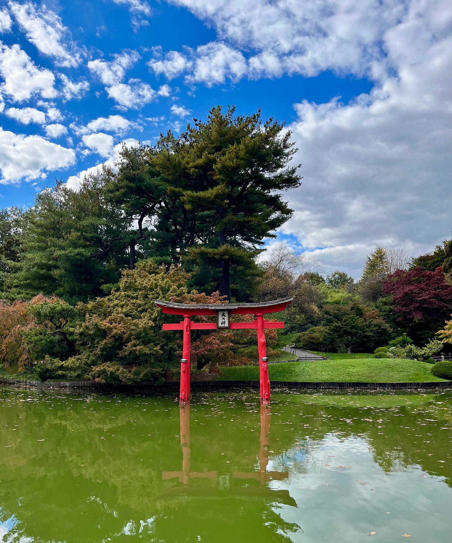 Vista sul lago all’interno del giardino botanico di Brooklyn. Il cielo azzurro, le nuvole bianche e l’atmosfera calma.