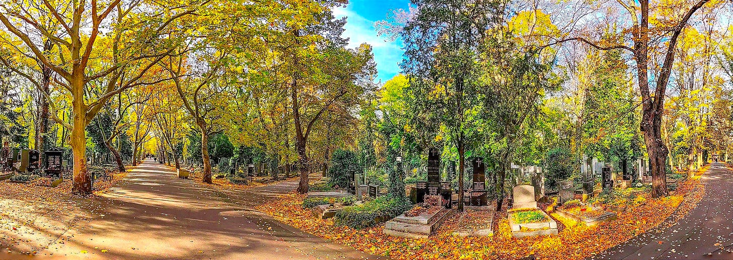 A wide-angle photo of a cemetery in Prague. 