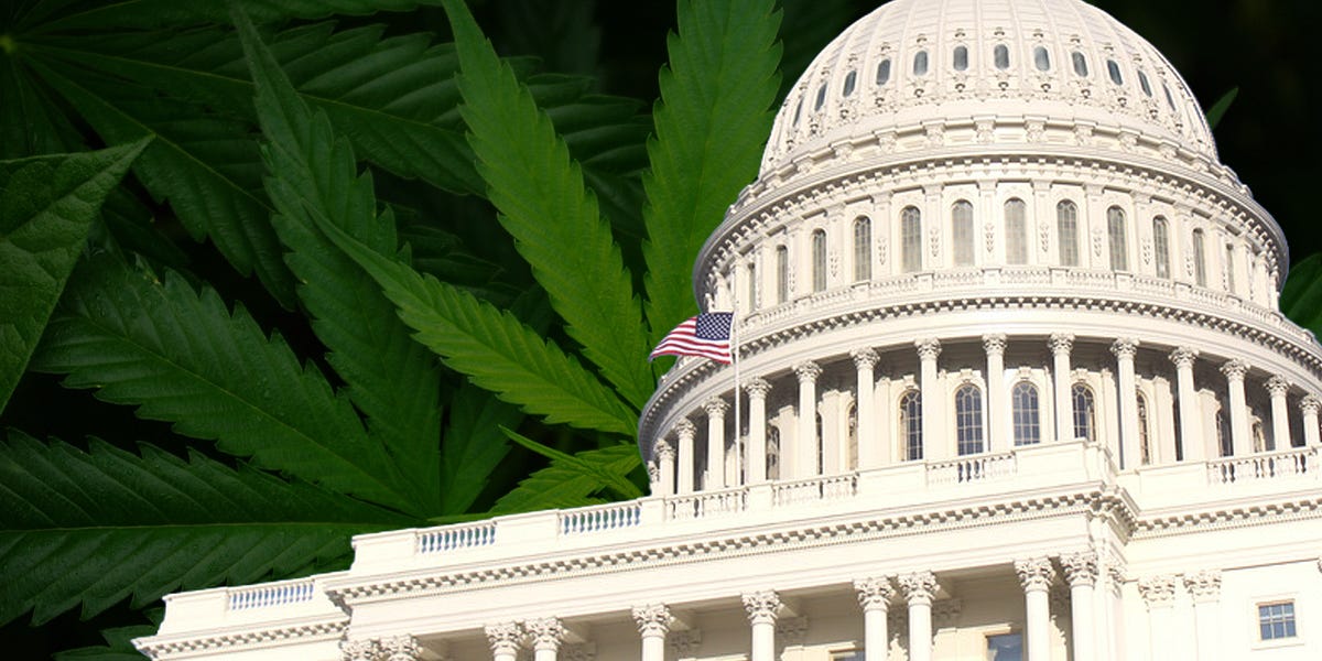 Congress Punts on Hemp Policy &mdash; Hiding It in a Must-Pass Spending Bill