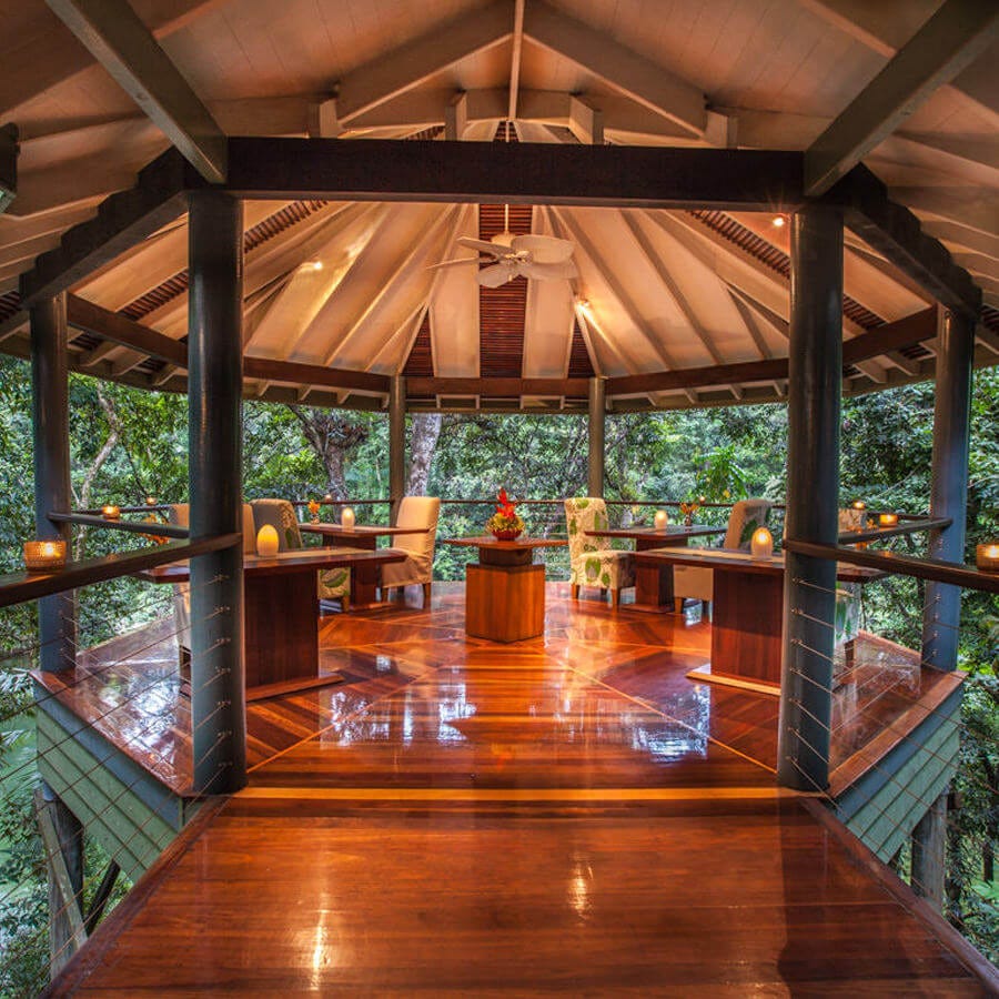 Silky Oaks Lodge - Touring Treasures Silky Oaks Lodge - Touring Treasures