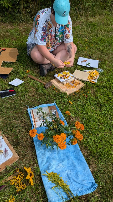 flower pounding prints using a variety of flowers