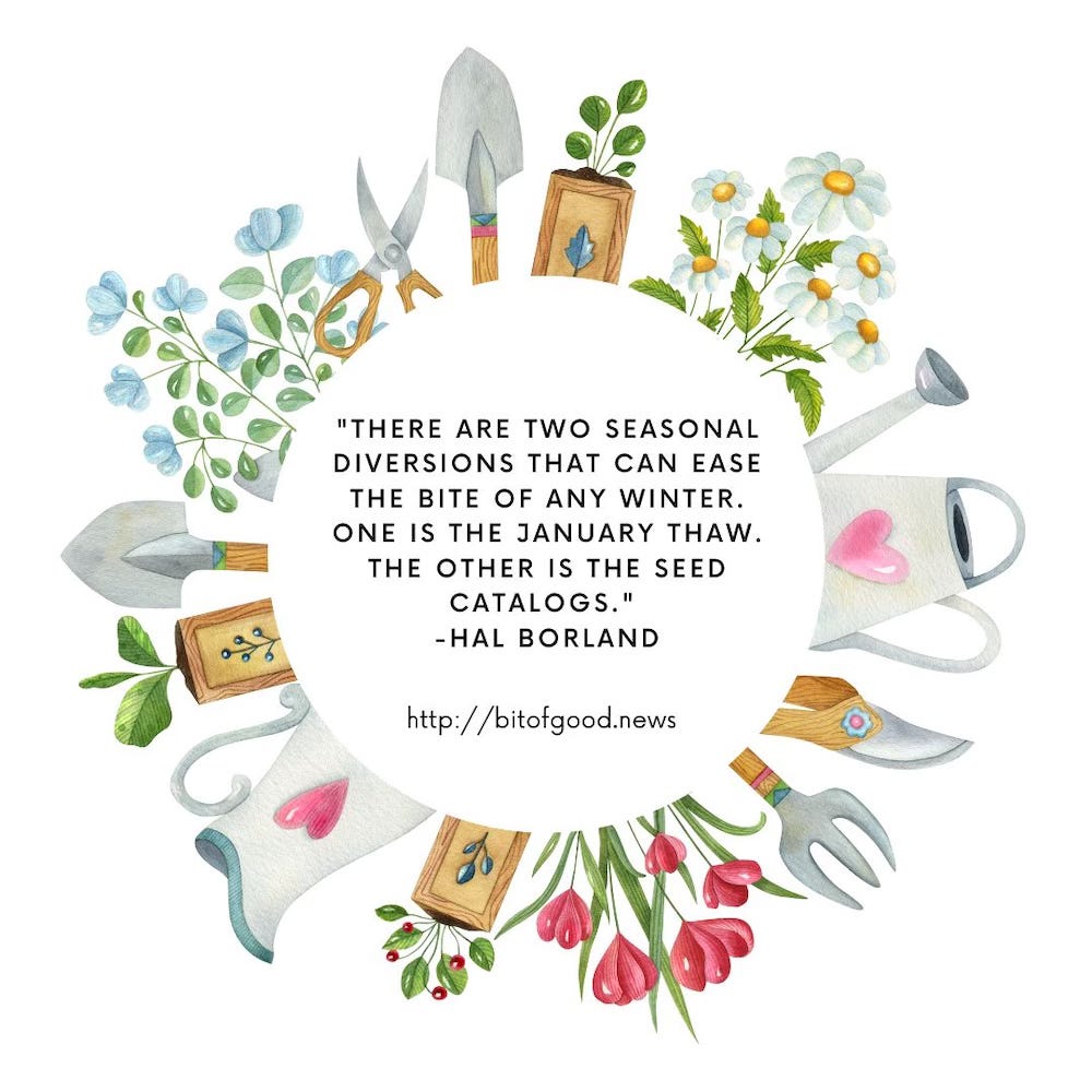 Promo for A Bit of Good News features implements for gardening and a quote by Hal Borland: "There are two seasonal diversions that can ease the bite of any winter. One is the January thaw. The other is the seed catalogs."Promo for A Bit of Good News features implements for gardening and a quote by Hal Borland: "There are two seasonal diversions that can ease the bite of any winter. One is the January thaw. The other is the seed catalogs." Promo for A Bit of Good News features implements for gardening and a quote by Hal Borland: "There are two seasonal diversions that can ease the bite of any winter. One is the January thaw. The other is the seed catalogs."Promo for A Bit of Good News features implements for gardening and a quote by Hal Borland: "There are two seasonal diversions that can ease the bite of any winter. One is the January thaw. The other is the seed catalogs."