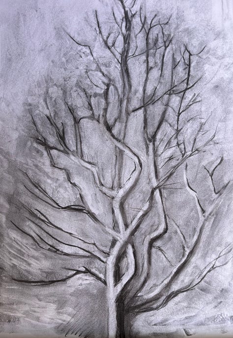 A3 Charcoal and A4 pastel drawings