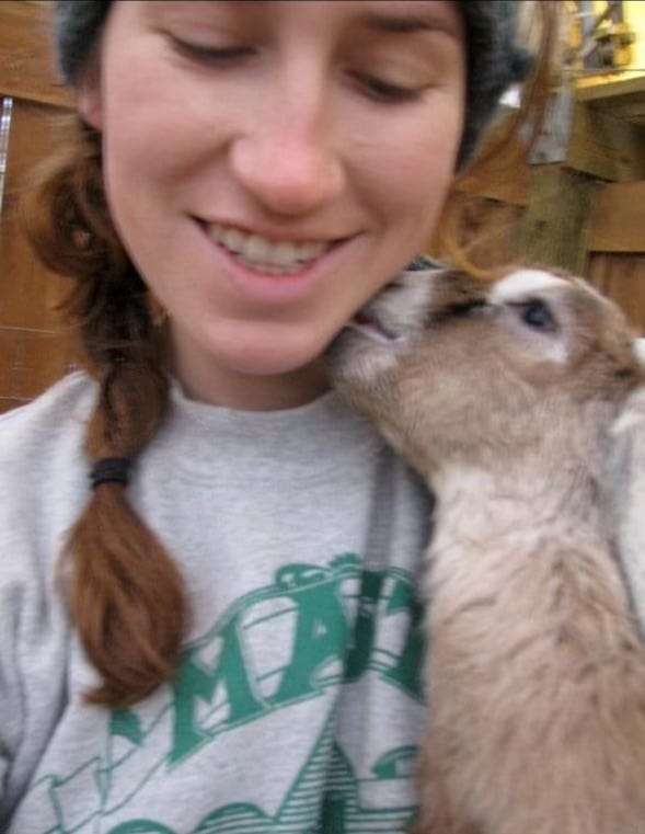 Selfies of Connie with sheep, cow, and goats.