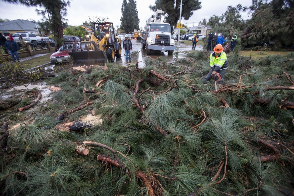 Crews work on fallen trees.
