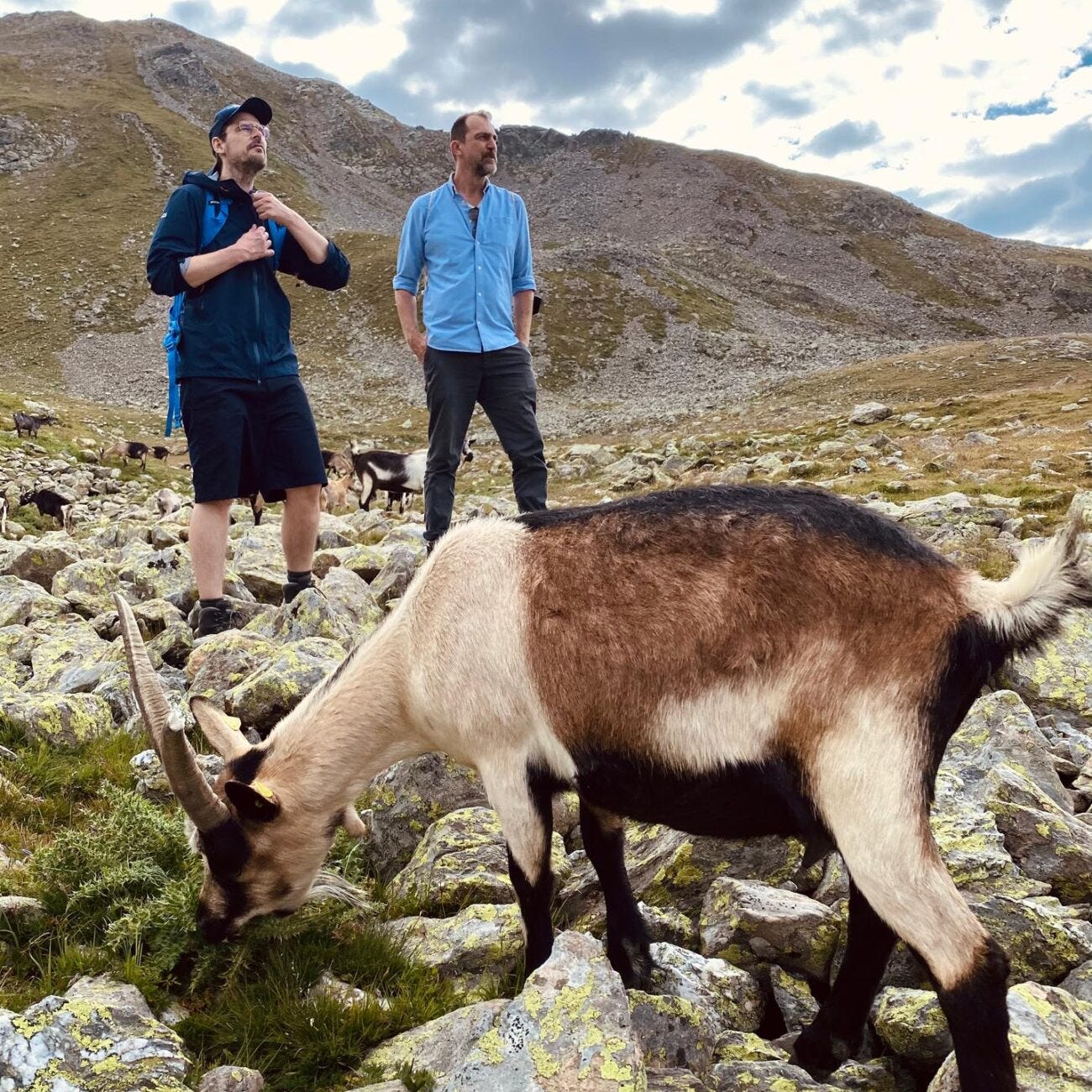 PHOTO-2025-07-03-12-39-09