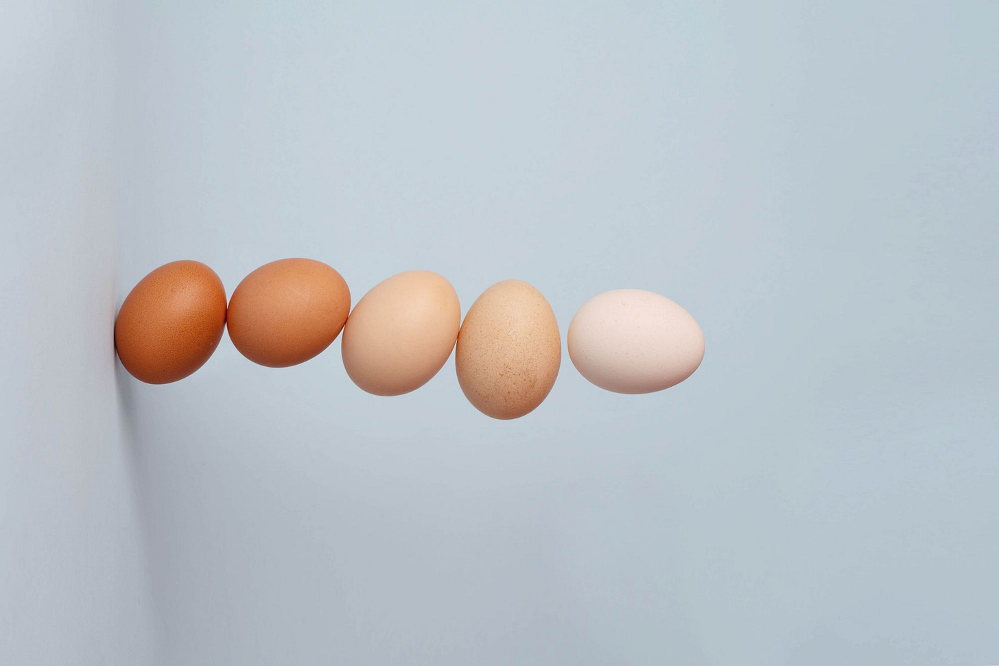 Delle uova e delle galline