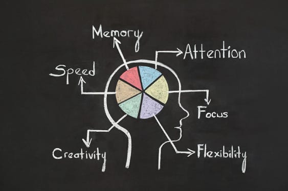 Food and Your Brain: How Nutrition Shapes Cognitiv
