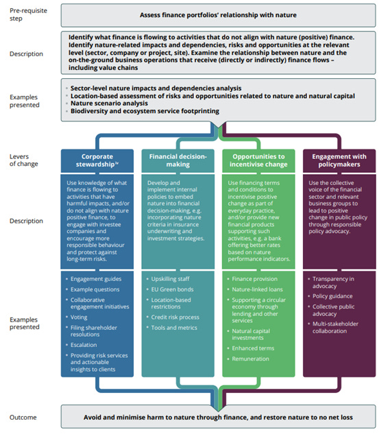 A diagram of a company

AI-generated content may be incorrect.