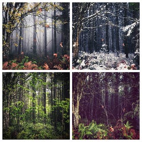 The Substack Symbiocene