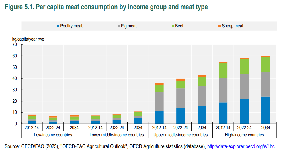 Bar charts showing historical and forecasted meat consumption by animal and country income buckets