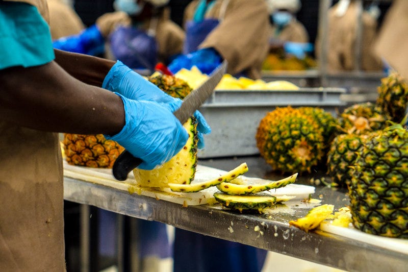 Processing pineapples in Ghana. Processing pineapples in Ghana.