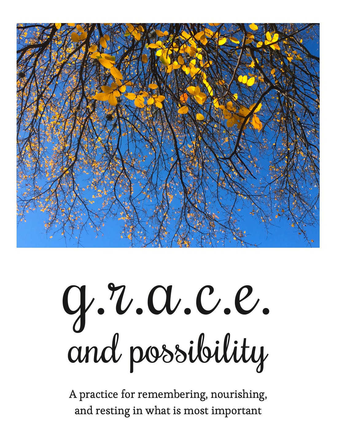 Cover of book includes an image of a tree with tiny yellow leaves while looking up at a blue sky. g.r.a.c.e. & possiblity: a practice for remembering, nourishing, and resting in what is most important