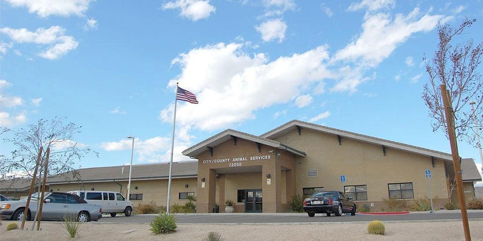 Coachella Valley Animal Campus