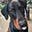 Alfie McSnout's avatar