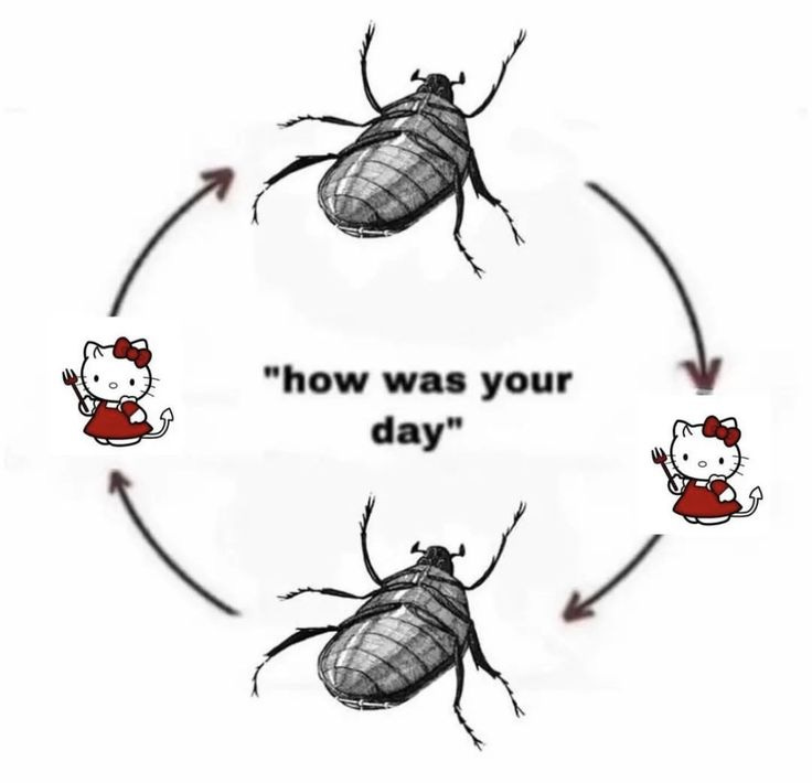 kafka moment | Literature humor, Relatable, Words kafka moment | Literature humor, Relatable, Words