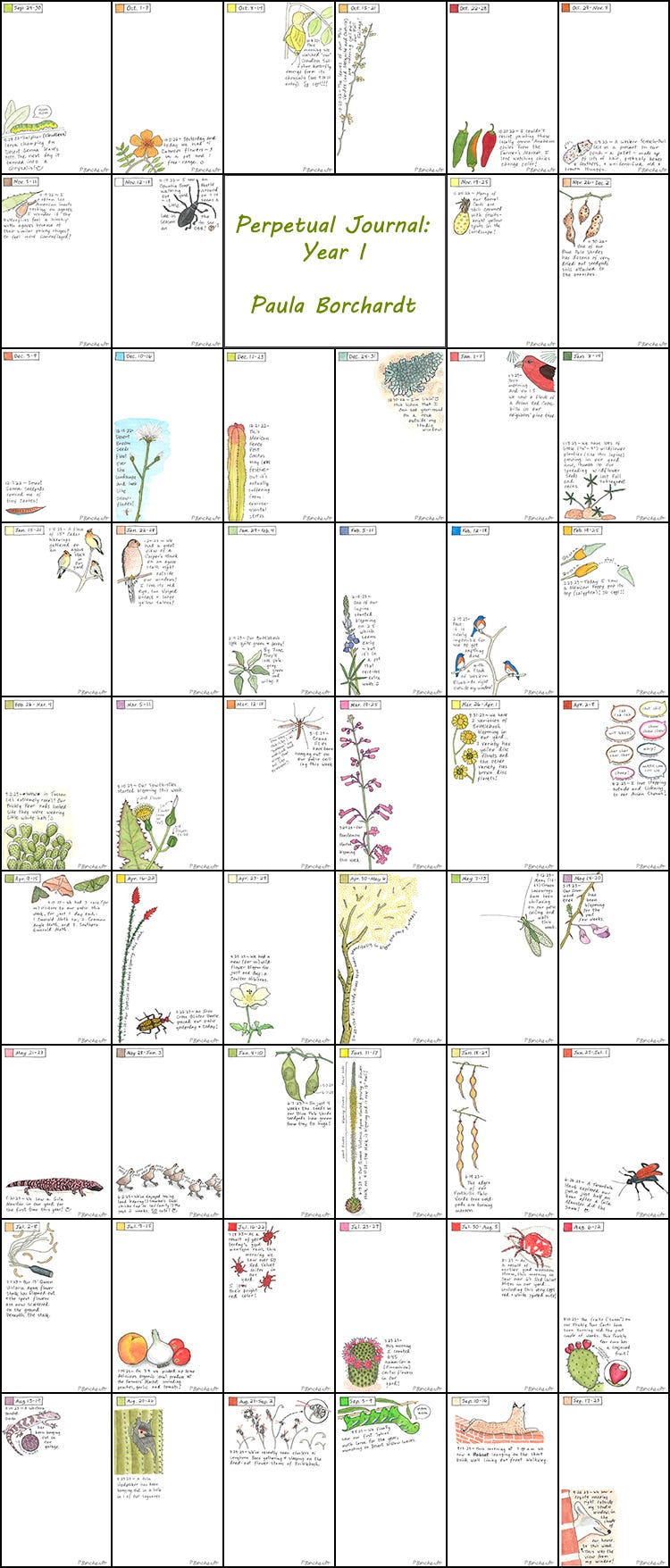 Perpetual Journal: Year 1 Entries