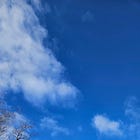 The Sunday Collection 1.11.26 