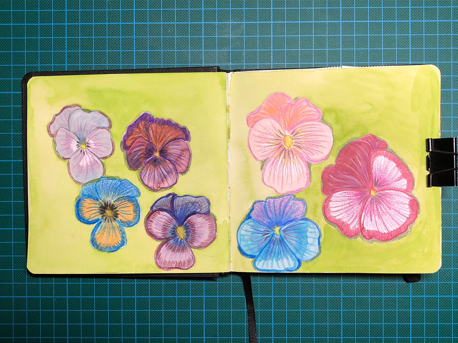 Photo d’un double-page d’une sketchbook de papier aquarelle où l’on voit des pensées de différentes couleurs sur un fond vert.