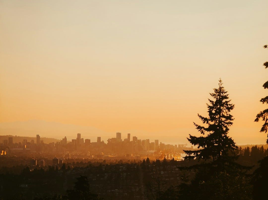 City skyline at sunset with silhouetted trees. City skyline at sunset with silhouetted trees.