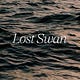 Lost Swan