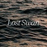 Lost Swan