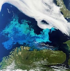 Satellite image of a phytoplankton bloom. Satellite image of a phytoplankton bloom.