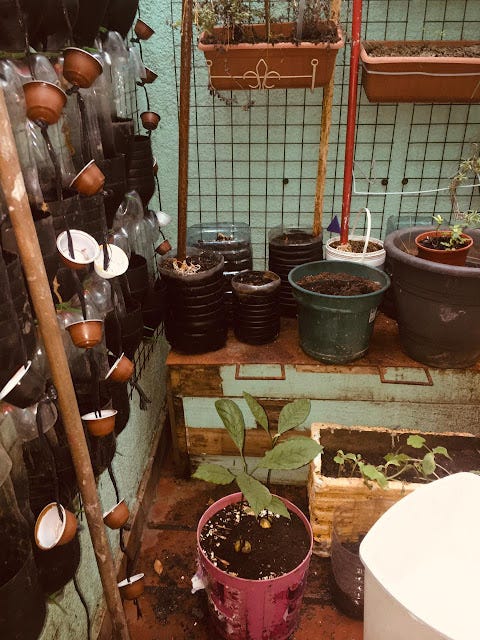 Reciclar plรกsticos Huerta Reciclar plรกsticos Huerta