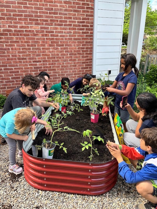 A group of children and adults gather around a raised garden bed to transplant seedlings. A group of children and adults gather around a raised garden bed to transplant seedlings.