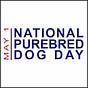 National Purebred Dog Day's avatar