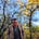 Andrew J. Nicewander's avatar