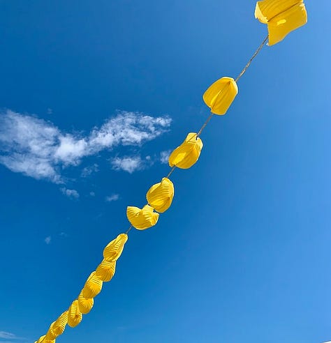 Festa del Redentore