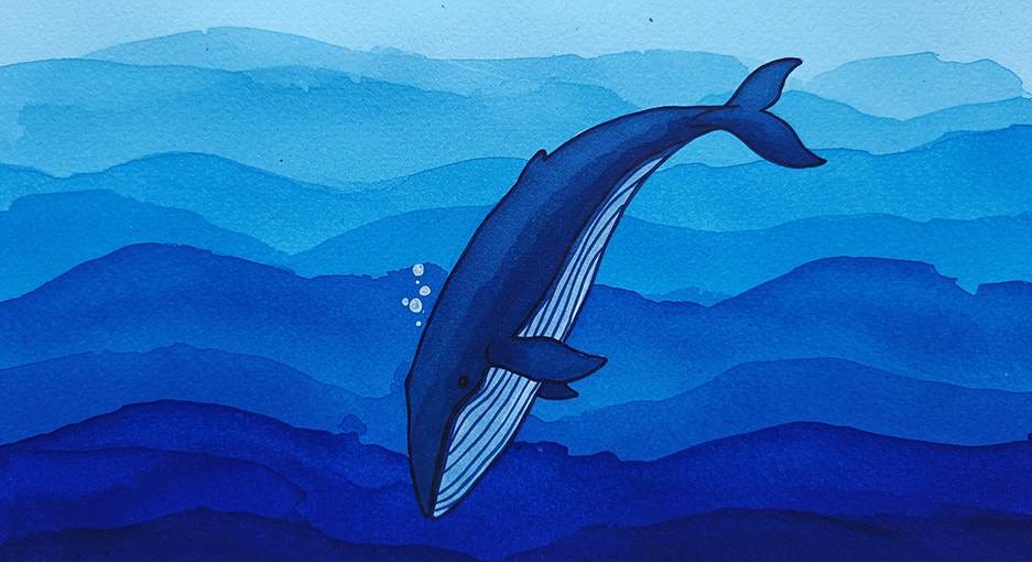 A whale swimming in the ocean

AI-generated content may be incorrect.