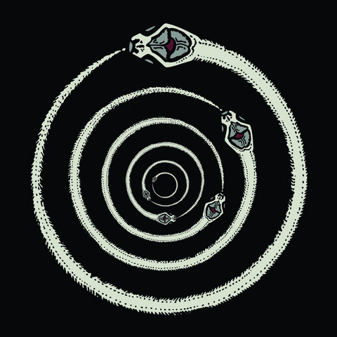 image0.gif