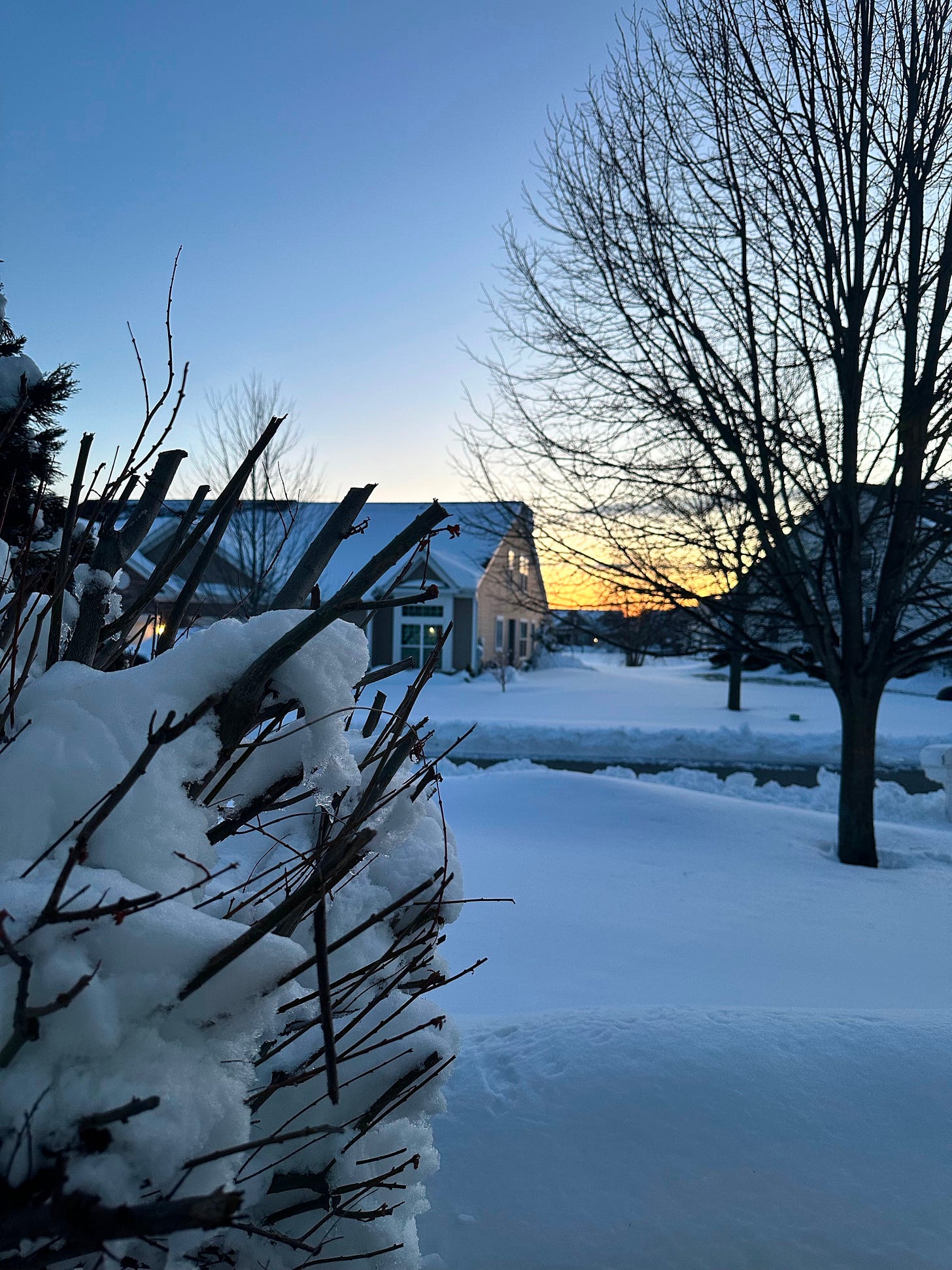 a dawn scene with snow-covered homes and trees, the sun beginning to rise and the roadway cleared of snow