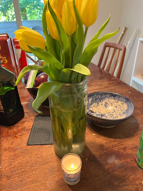 A child's research project poster on Frederick Douglass. A vase of yellow tulips with a yahrzeit candle for Kathy Boudin. A child's scrapbook page reading All About Sasha. Stacks of boxes packed in an entryway. An old garden lamp listing heavily to one side in a lush green garden. A realtor's For Sale sign in front of a gray townhouse.