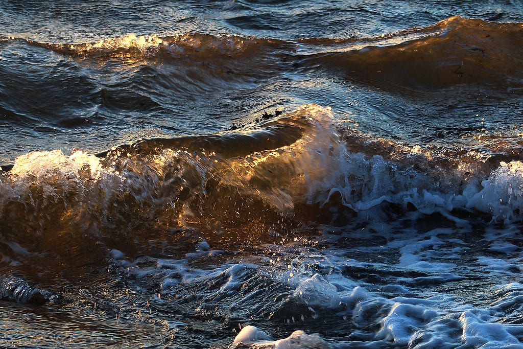 The beauty of waves | Ib Aarmo | Flickr