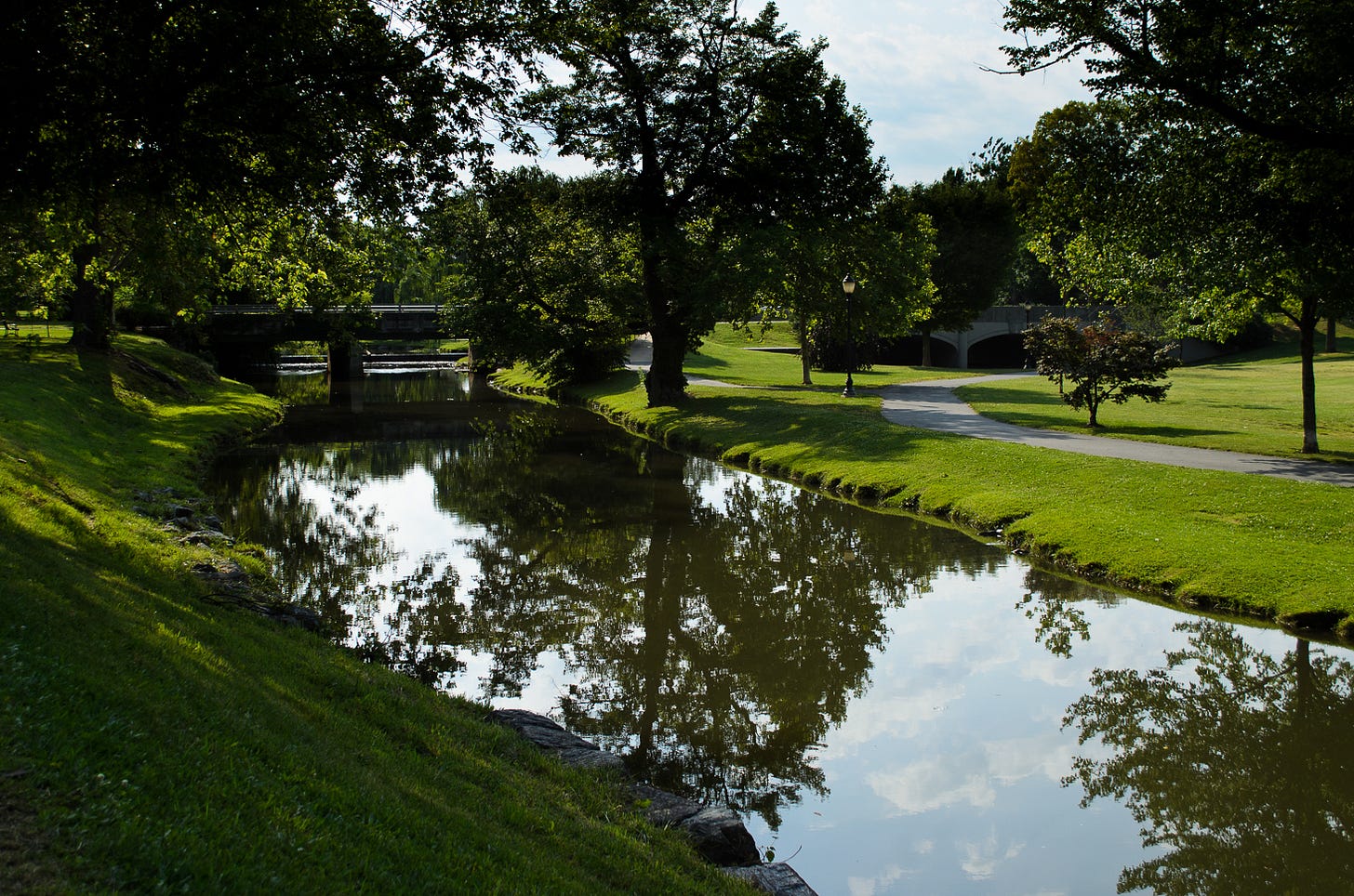 Still water in a lush green park.