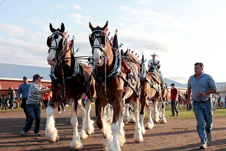 May be an image of 8 people